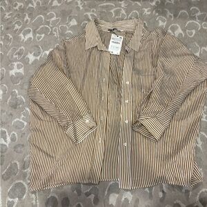 Zara Brown and White Striped Button Down Shirt
